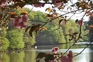 2382 Merrymount Dr, Suwanee, GA 30024 - Photo 1