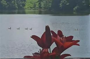 2382 Merrymount Dr, Suwanee, GA 30024 - Photo 68