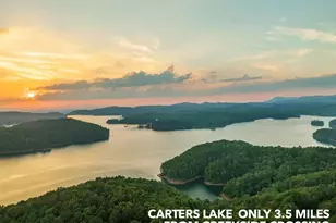 2956 Blalock Mountain Rd, Talking Rock, GA 30175 - Photo 62