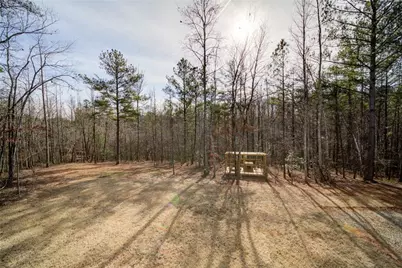 662 Cleve Wright Road, Dawsonville, GA 30534 - Photo 42