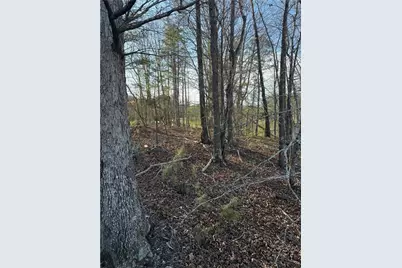 151 Rolling Hills Place, Canton, GA 30114 - Photo 30