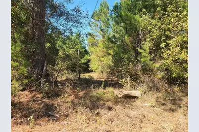 184 Young Road, Milledgeville, GA 31061 - Photo 12