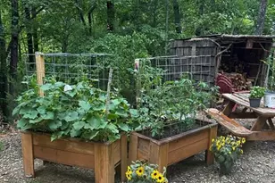 136 Tall Oaks Trl, Blairsville, GA 30512 - Photo 26