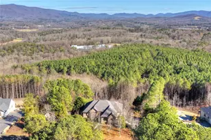 100 Foxpaw Leaf Ct, Ellijay, GA 30536 - Photo 66