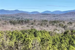 100 Foxpaw Leaf Ct, Ellijay, GA 30536 - Photo 54