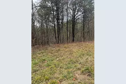 0 Ball Ground Highway, Ball Ground, GA 30107 - Photo 6
