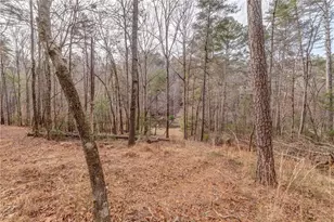 [Address not provided], Ellijay, GA 30536 - Photo 66