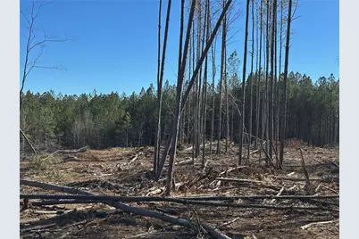 475 Larmon Forks Rd, Dahlonega, GA 30533 - Photo 4