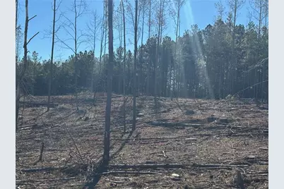 475 Larmon Forks Rd, Dahlonega, GA 30533 - Photo 12