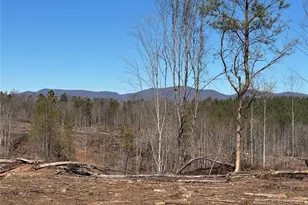 475 Larmon Forks Rd, Dahlonega, GA 30533 - Photo 1