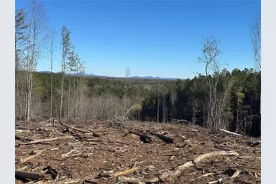 475 Larmon Forks Rd, Dahlonega, GA 30533 - Photo 8