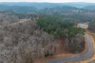 0 Freestone St, Talking Rock, GA 30175 - Photo 10