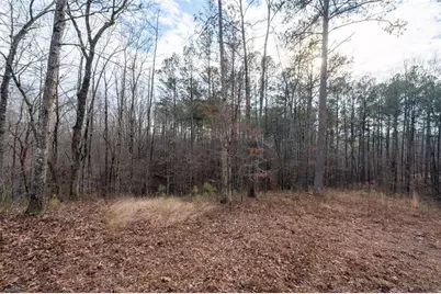 0 Freestone Street, Talking Rock, GA 30175 - Photo 6