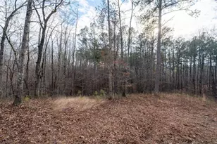 0 Freestone St, Talking Rock, GA 30175 - Photo 6