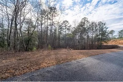 0 Freestone Street, Talking Rock, GA 30175 - Photo 4