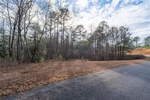 0 Freestone St, Talking Rock, GA 30175 - Photo 4