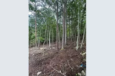 286 Morse Elm Loop, Waleska, GA 30183 - Photo 2