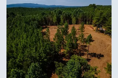 1 Young Loop, Fairmount, GA 30139 - Photo 1