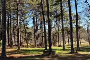 670 Jefferies Rd, Shady Dale, GA 31085 - Photo 24