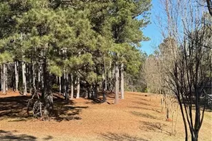 670 Jefferies Rd, Shady Dale, GA 31085 - Photo 20