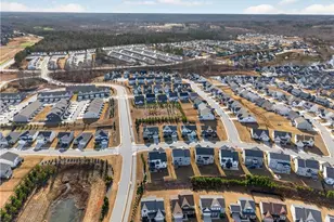 1101 Michigan Cir, Hoschton, GA 30548 - Photo 60