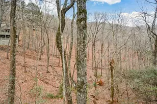 80 Mountain Mint Dr, Big Canoe, GA 30143 - Photo 44