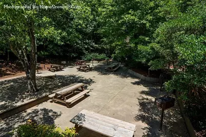 80 Mountain Mint Drive, Big Canoe, GA 30143 - Photo 66