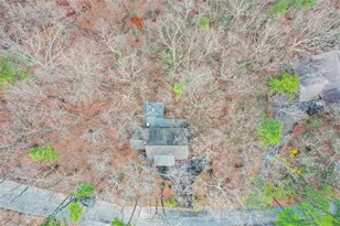 80 Mountain Mint Dr, Big Canoe, GA 30143 - Photo 54