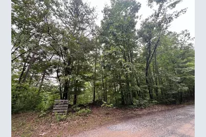 198 Log Round Mountain Trail, Ellijay, GA 30540 - Photo 8