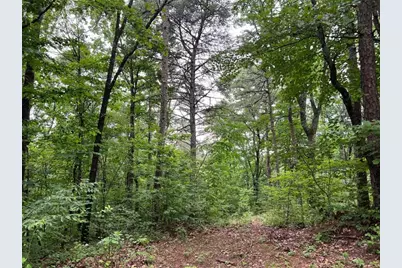 198 Log Round Mountain Trail, Ellijay, GA 30540 - Photo 2