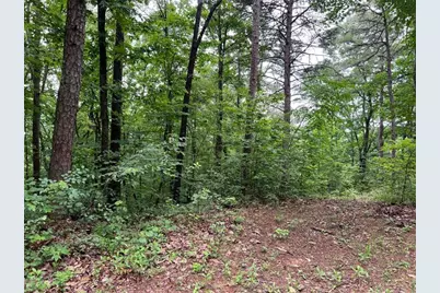 198 Log Round Mountain Trail, Ellijay, GA 30540 - Photo 4