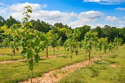 119 Inland Drive, Talking Rock, GA 30175 - Photo 8