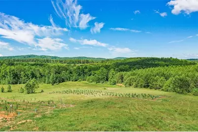 119 Inland Drive, Talking Rock, GA 30175 - Photo 6