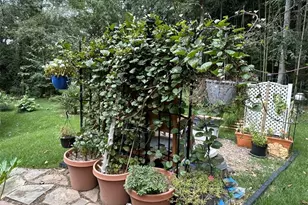 1031 Barnett Pl, Athens, GA 30605 - Photo 68