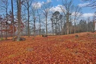 3454 Coach Ct, Gainesville, GA 30507 - Photo 28