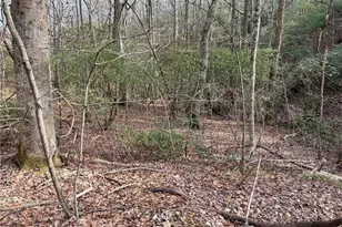 Lot 9F Renate Dr, Jasper, GA 30143 - Photo 1