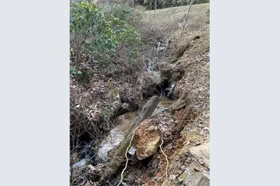 Lot 9F Renate Drive, Jasper, GA 30143 - Photo 6