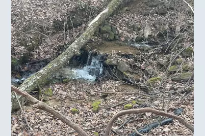 Lot 9F Renate Drive, Jasper, GA 30143 - Photo 8