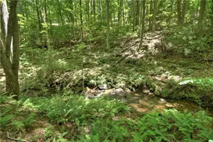 276 Pine Ridge Rd, Ellijay, GA 30536 - Photo 12