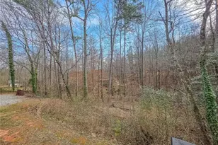 234 Pine Tree Ln, Dahlonega, GA 30533 - Photo 38