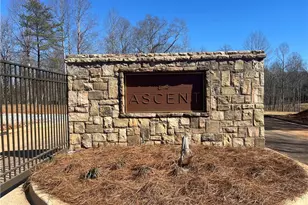 123 Peaceful Grove Dr, Cumming, GA 30041 - Photo 14