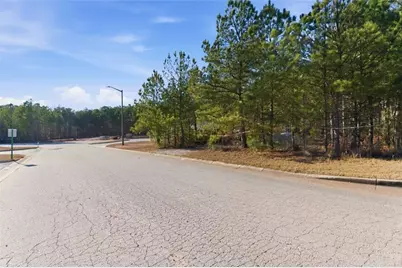 112 Redding Drive, Bremen, GA 30110 - Photo 20