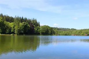 110 Briarcliff Trail, Ivey, GA 31031 - Photo 2