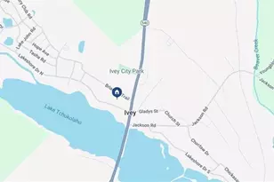 110 Briarcliff Trail, Ivey, GA 31031 - Photo 24