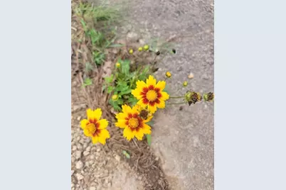 224 Chimney Sweep Trail, Fairmount, GA 30139 - Photo 50