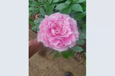 224 Chimney Sweep Trail, Fairmount, GA 30139 - Photo 48