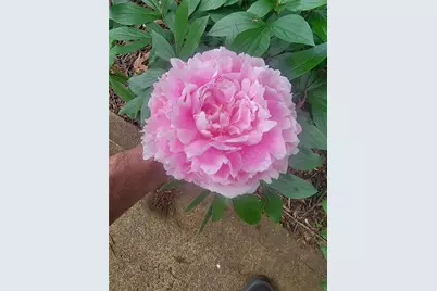 224 Chimney Sweep Trail, Fairmount, GA 30139 - Photo 50