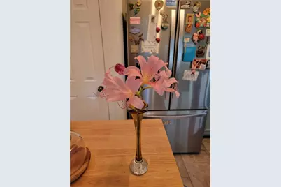 224 Chimney Sweep Trail, Fairmount, GA 30139 - Photo 54