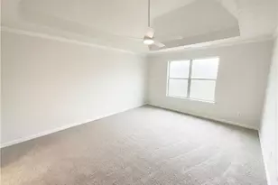 736 Tullamore Way, Hampton, GA 30228 - Photo 4