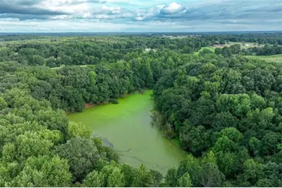 0 Turkey Creek Road, Carnesville, GA 30521 - Photo 8